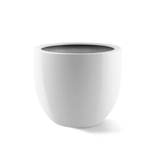 Argento New Egg Pot 45 - Shiny White F1138